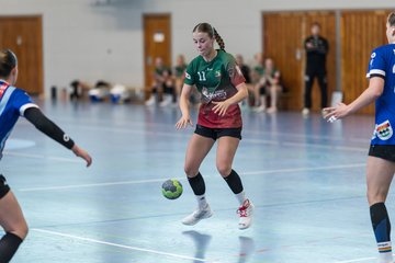 Bild 202 - F HSG Kremperheide/Muensterdorf - HSG Holstein Kiel/Kronshagen : Ergebnis: 31:26